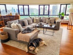 The Draycott (D10), Apartment #549713251